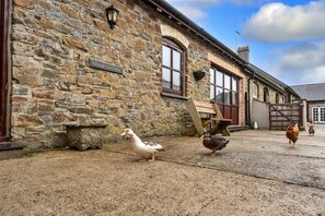 Ein Steinhaus mit einem Schild, auf dem 'GOOSE COTTAGE' steht, und einer hölzernen Bank.