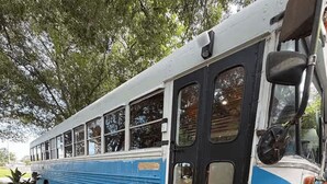 Un autobús azul y blanco con un banco de madera adelante, plantas en macetas y una puerta con ventanas.