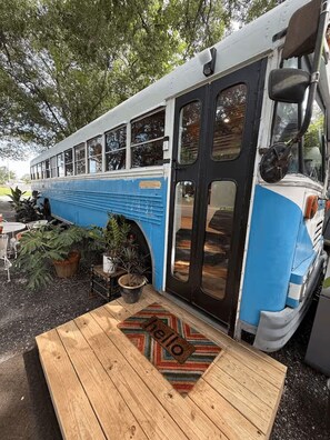 Een blauw-witte bus met een houten bank ervoor, plantenbakken en een deur met ruiten.
