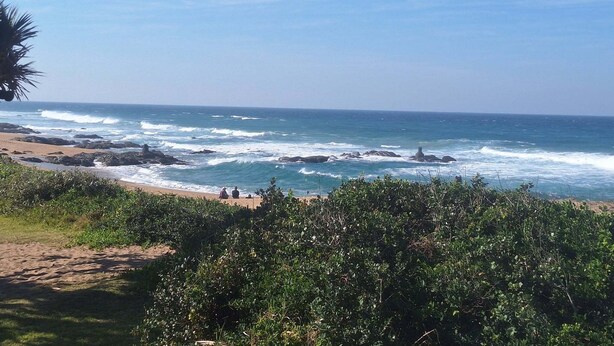 A beach with waves crashing onto the shore, a clear sky, and some vegetation in the foreground.
