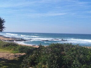 A beach with waves crashing onto the shore, a clear sky, and some vegetation in the foreground.