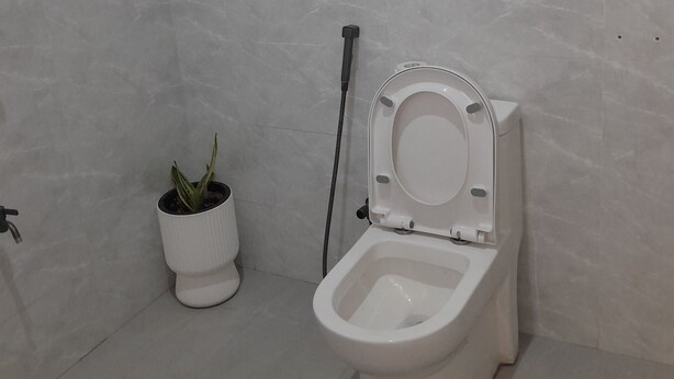 A modern bathroom with a toilet, a potted plant, and a handrail. - IGAWILO RESIDENCE HOTEL (Dodoma)