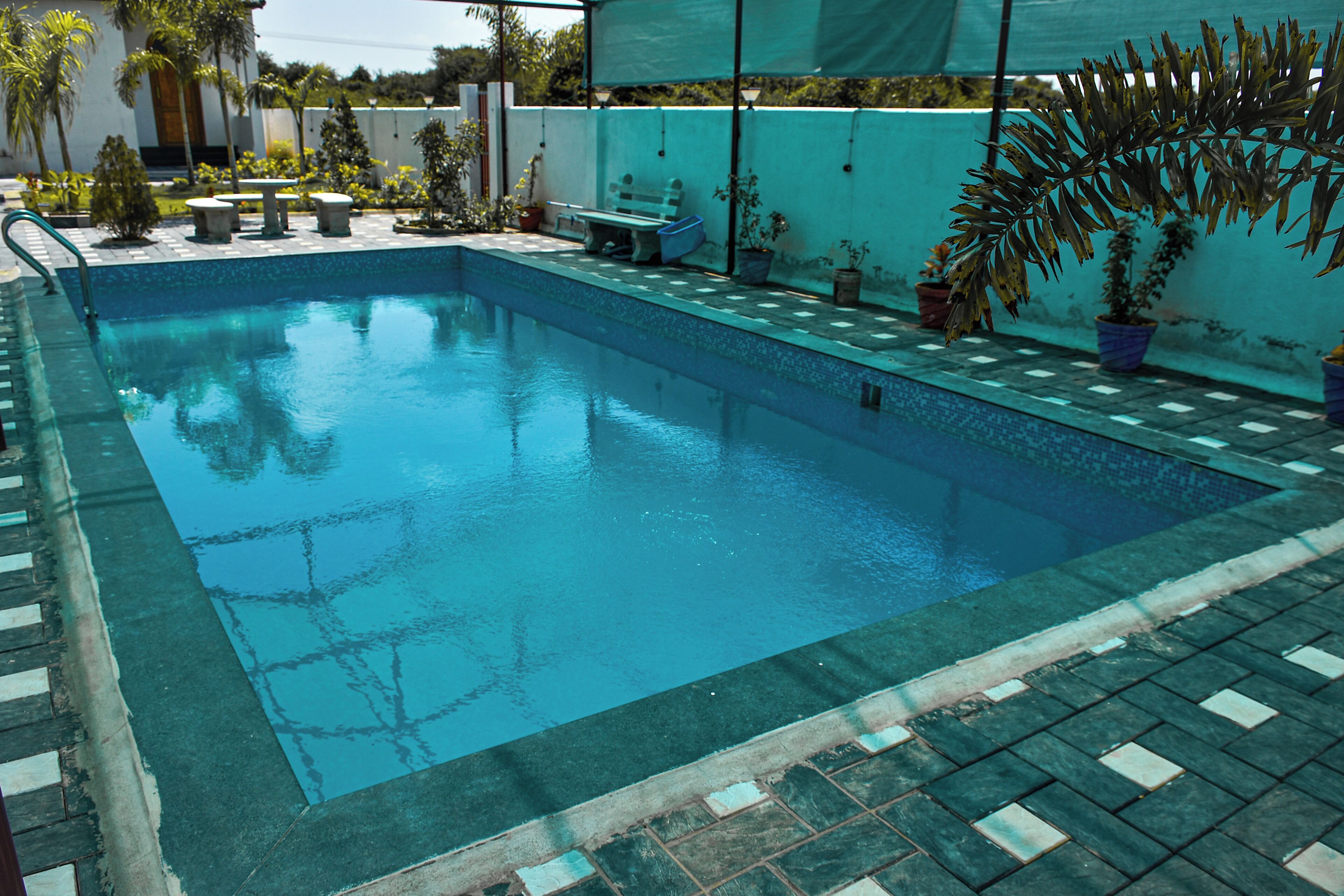 Piscina rectangular con borde alicatado, rodeada de plantas en macetas y mobiliario de exterior.