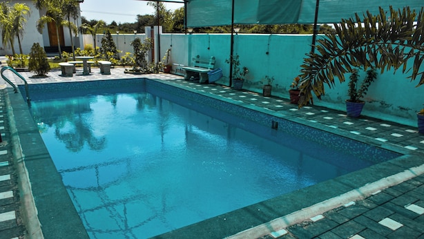 Piscina rectangular con borde alicatado, rodeada de plantas en macetas y mobiliario de exterior.