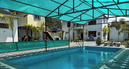 Palm tree Villa Homestay