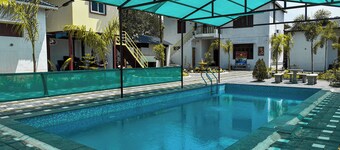 Palm tree Villa Homestay