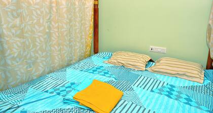 Palm tree Villa Homestay
