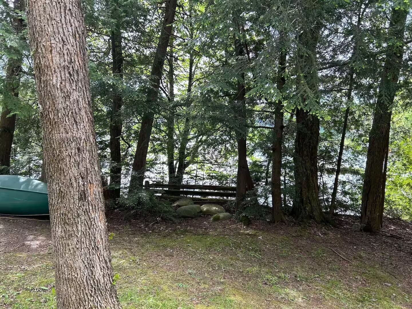 A forested area with a wooden fence and a boat docked on the water.