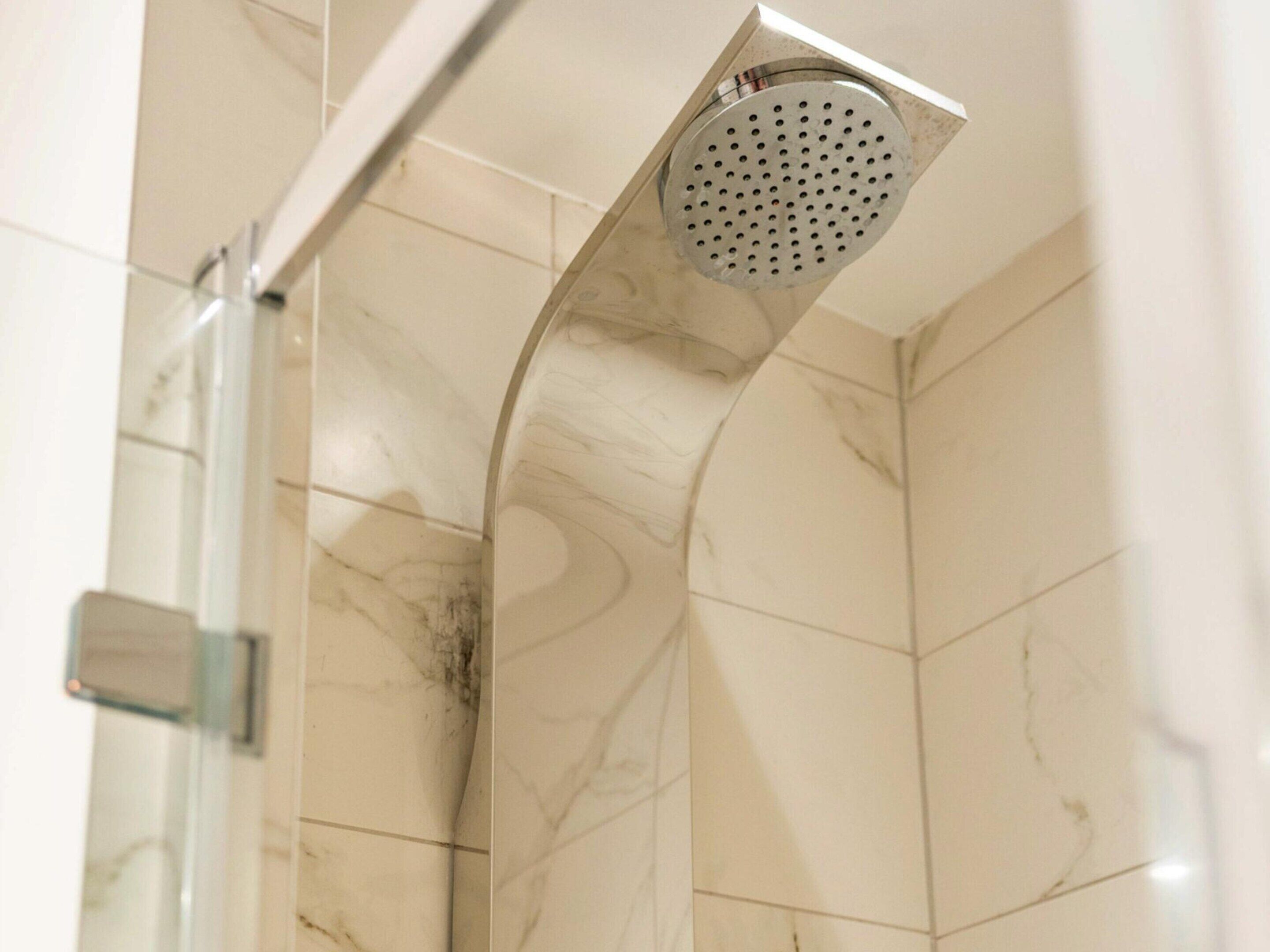 A shower with a curved design and a perforated showerhead.