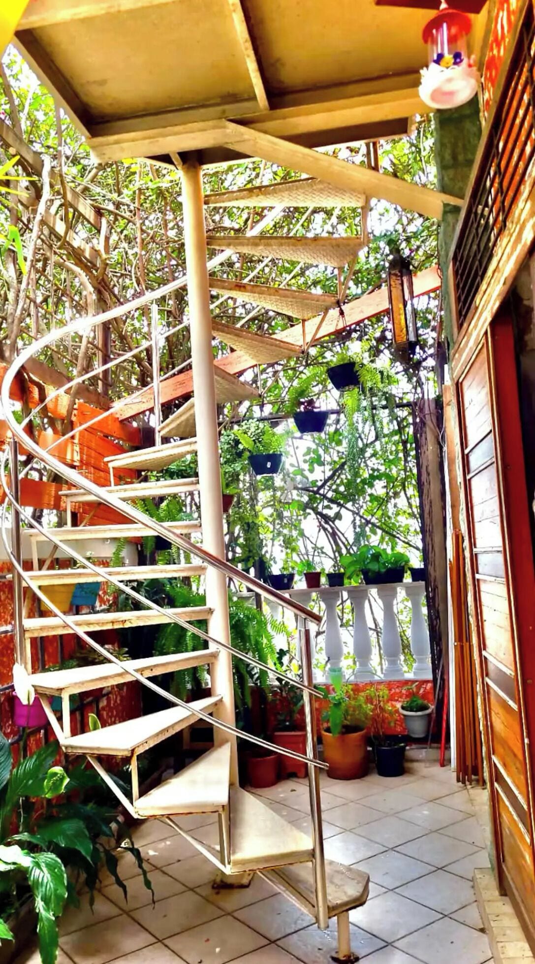 Una escalera en espiral con barandillas de metal, rodeada de plantas en macetas y follaje.