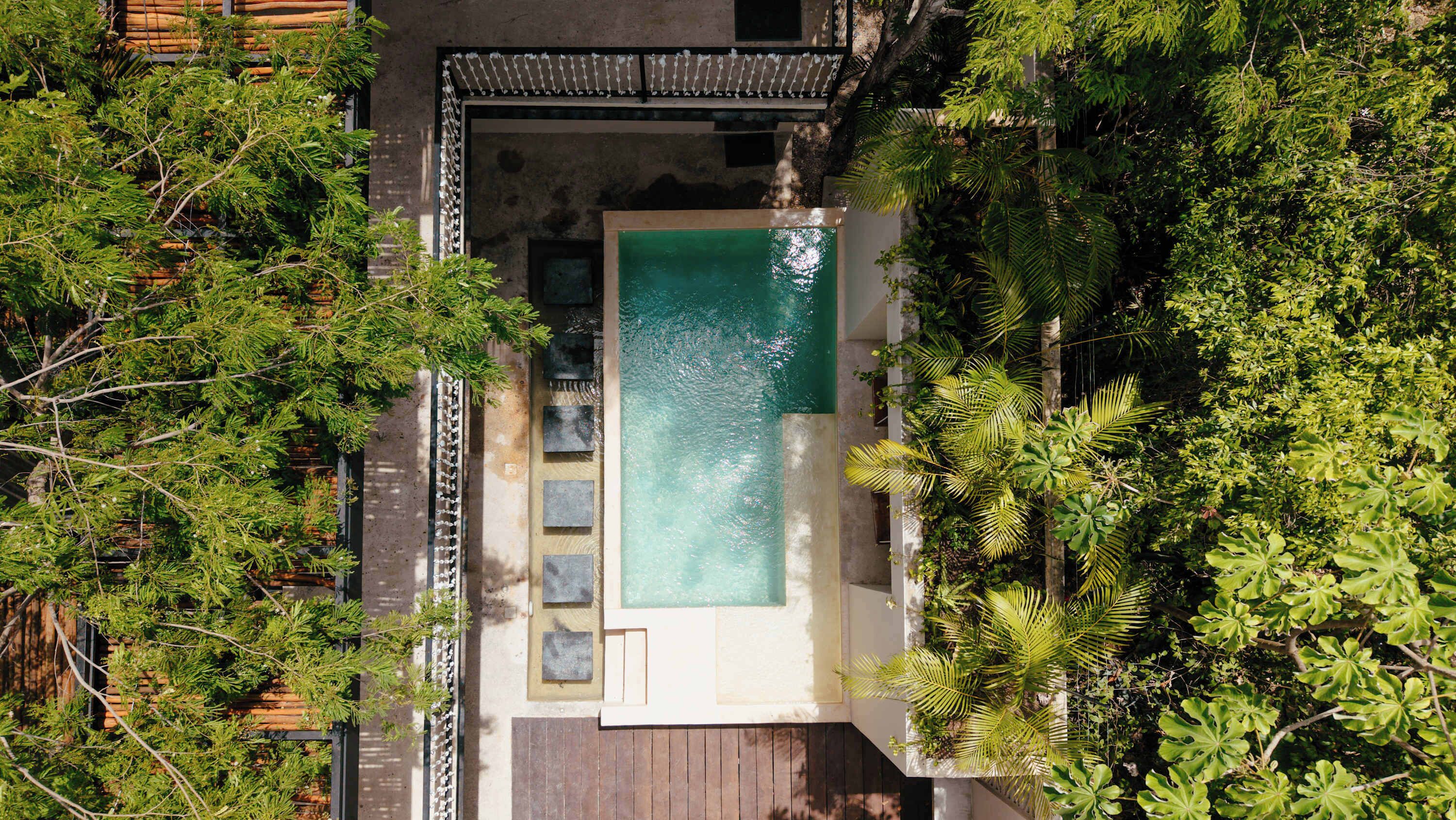 Una vista aerea di una proprietà con piscina circondata da vegetazione lussureggiante e un pontile in legno.
