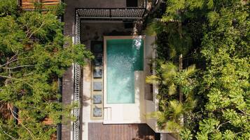 Una vista aerea di una proprietà con piscina circondata da vegetazione lussureggiante e un pontile in legno.