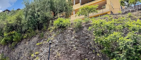 Family House, Mountain View | Exterior
