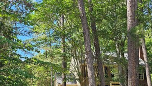 A residential property with a paved driveway, a brick house, and tall trees. - 3-bedroom house in Durham near UNC, Duke and the American Tobacco Trail (Durham)