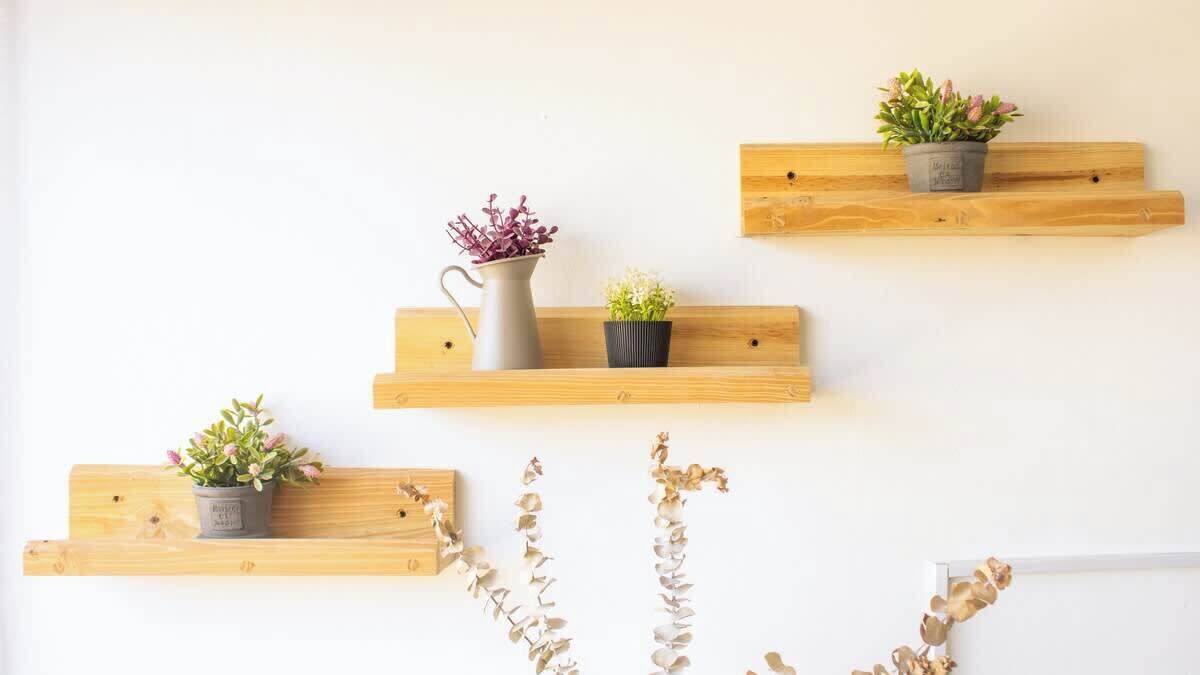 Eine Wand mit drei hölzernen Regalen, auf denen jeweils eine Topfpflanze steht.
