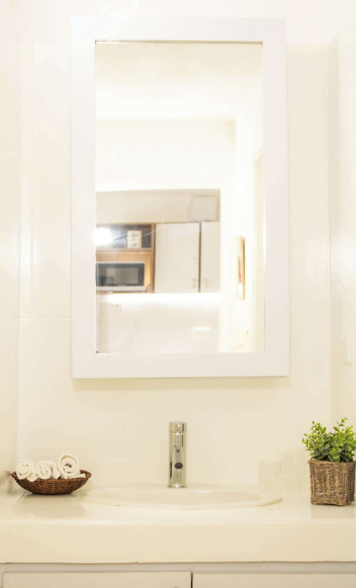 A bathroom with a white sink, a mirror, and a small plant on the counter.