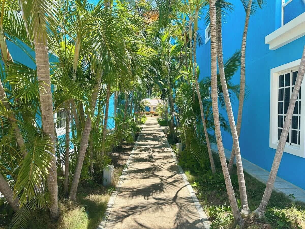 A pathway flanked by palm trees leading to a building with blue walls and white windows.