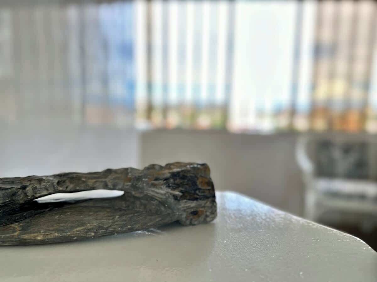 Un pezzo di legno portato a riva con un oggetto bianco sopra, su una superficie bianca.