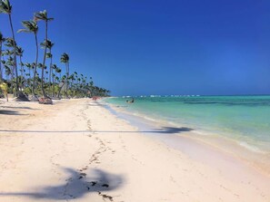 Ein Strand mit klarem, blauem Wasser, Palmen und einem sandigen Ufer.