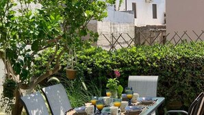 Un espace extérieur aménagé pour prendre les repas, avec une table dressée pour quatre personnes, entourée de chaises et d’un petit arbre.