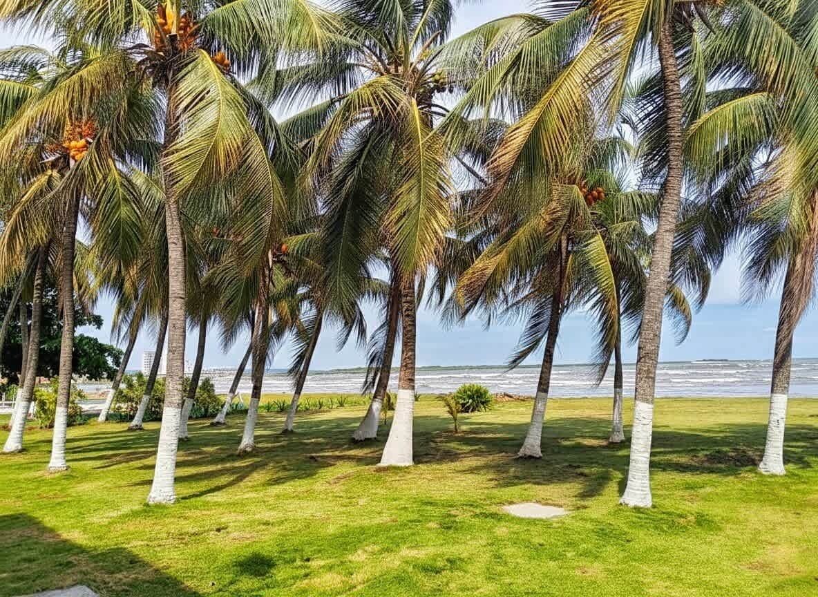 海灘