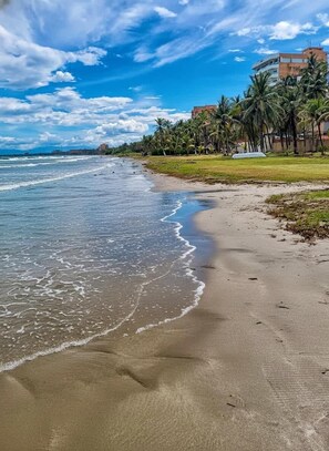A beach with a clear sky, waves, and a grassy area with palm trees.