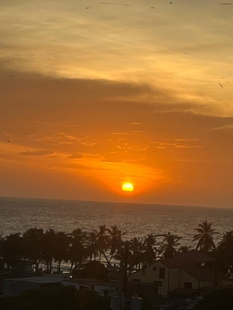 A sunset over the ocean with palm trees and buildings in the foreground.