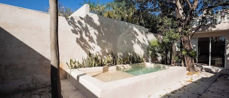 A swimming pool with a concrete edge, surrounded by a low wall and some vegetation.