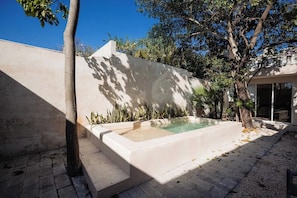 A swimming pool with a concrete edge, surrounded by a low wall and some vegetation. - Colonial Mérida Retreat w/ Private Pool & Parking (Merida)