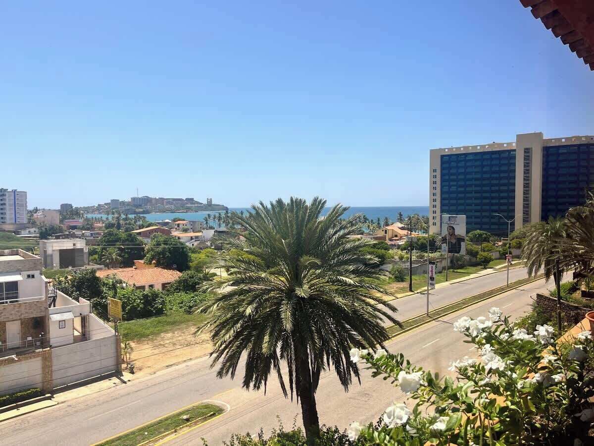 Une vue urbaine avec un palmier bien visible au premier plan, un ciel dégagé et des bâtiments en arrière-plan.