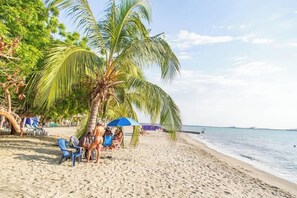 A beach with palm trees, a clear sky, and a calm sea.