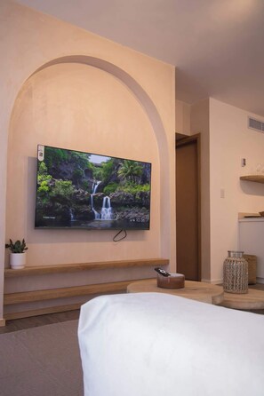 Quarto com televisão na parede, uma cama, uma pequena planta e uma mesinha de cabeceira com controle remoto.
