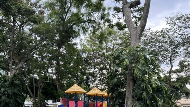A playground with slides and climbing structures, surrounded by grass and trees.