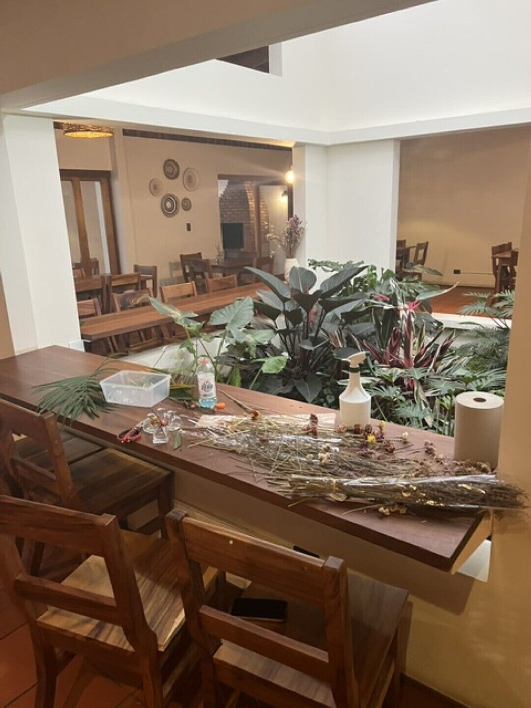 Un espace repas comprenant une longue table, des chaises et diverses plantes.