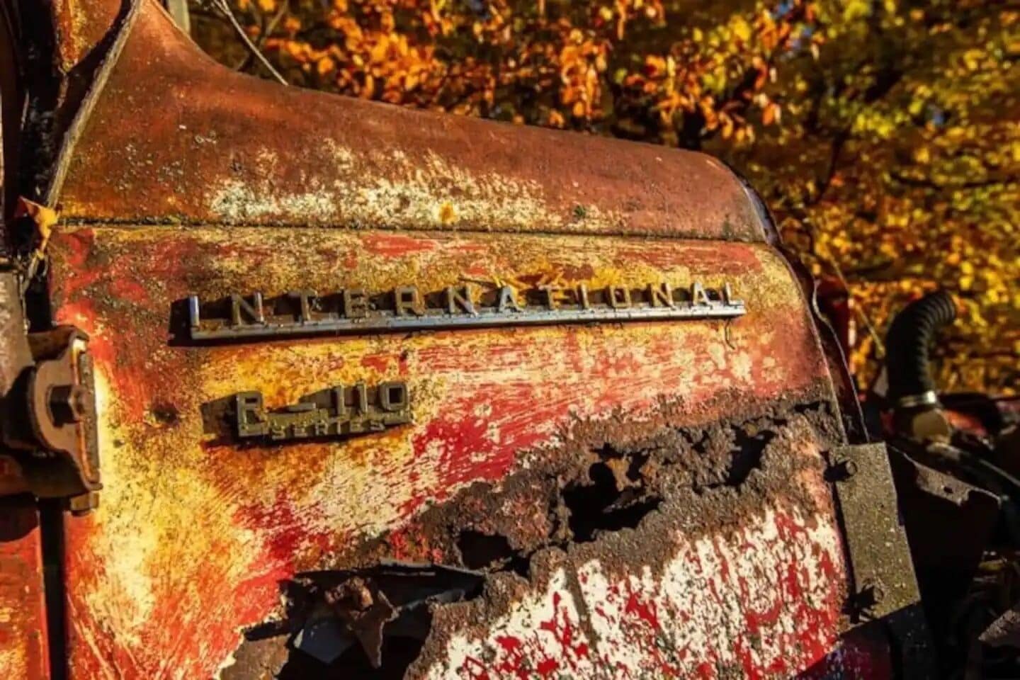 A rusted metal surface with the inscription 'INTERNAFLORAL' and 'EL 110' visible.