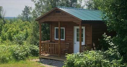 Den Den Cabin ~ Near Mackinac Island & Tunnel of Trees ~ Rustic, Cozy, Quiet