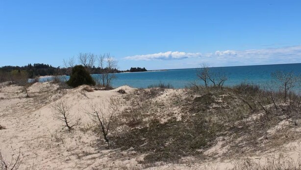 Ein Strand mit Dünen und spärlicher Vegetation.