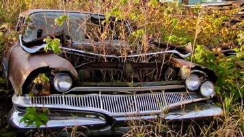 Hylätty auto, jonka ympärillä kasvaa rehevää kasvillisuutta.