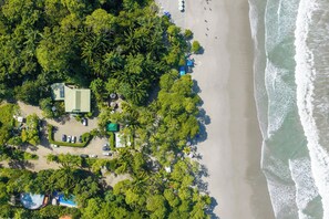 Vue aérienne d’un complexe hôtelier en bord de mer, avec une piscine, un parking et une végétation tropicale luxuriante.