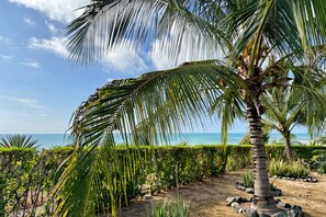 Ein tropischer Garten mit Palmen und Blick aufs Meer.