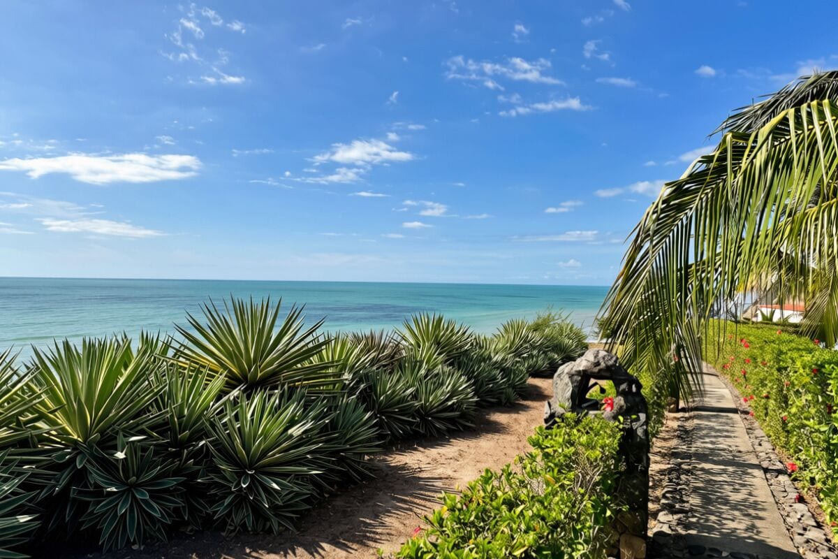 A pathway lined with agave plants leading to a beach with clear blue water and a partly cloudy sky.