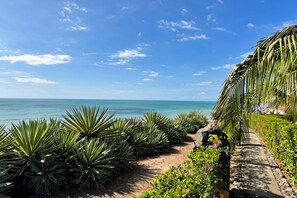 Ein Weg, gesäumt von Agavenpflanzen, führt zu einem Strand mit klarem, blauem Wasser und einem teils bewölkten Himmel.