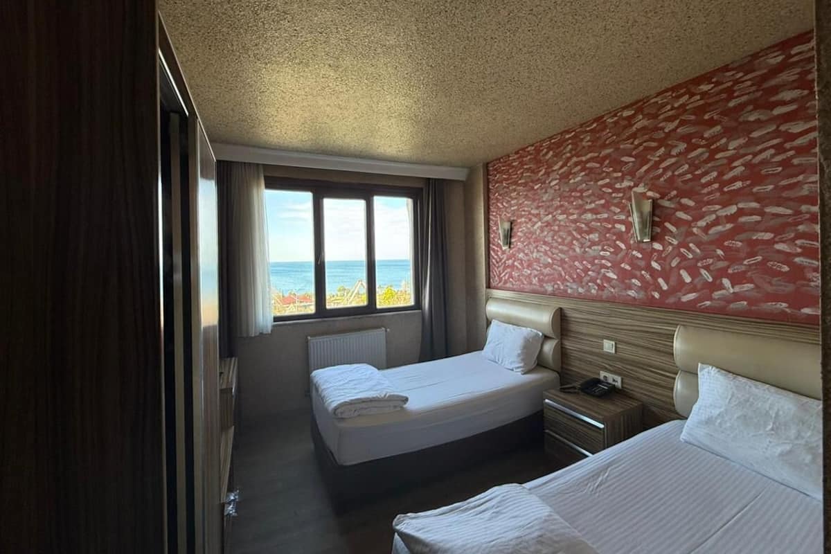 Deluxe Double or Twin Room, City View