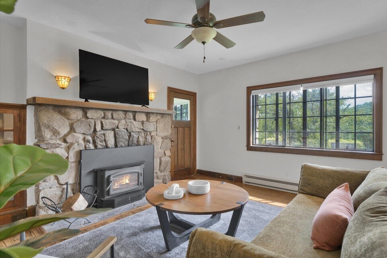 TV, fireplace