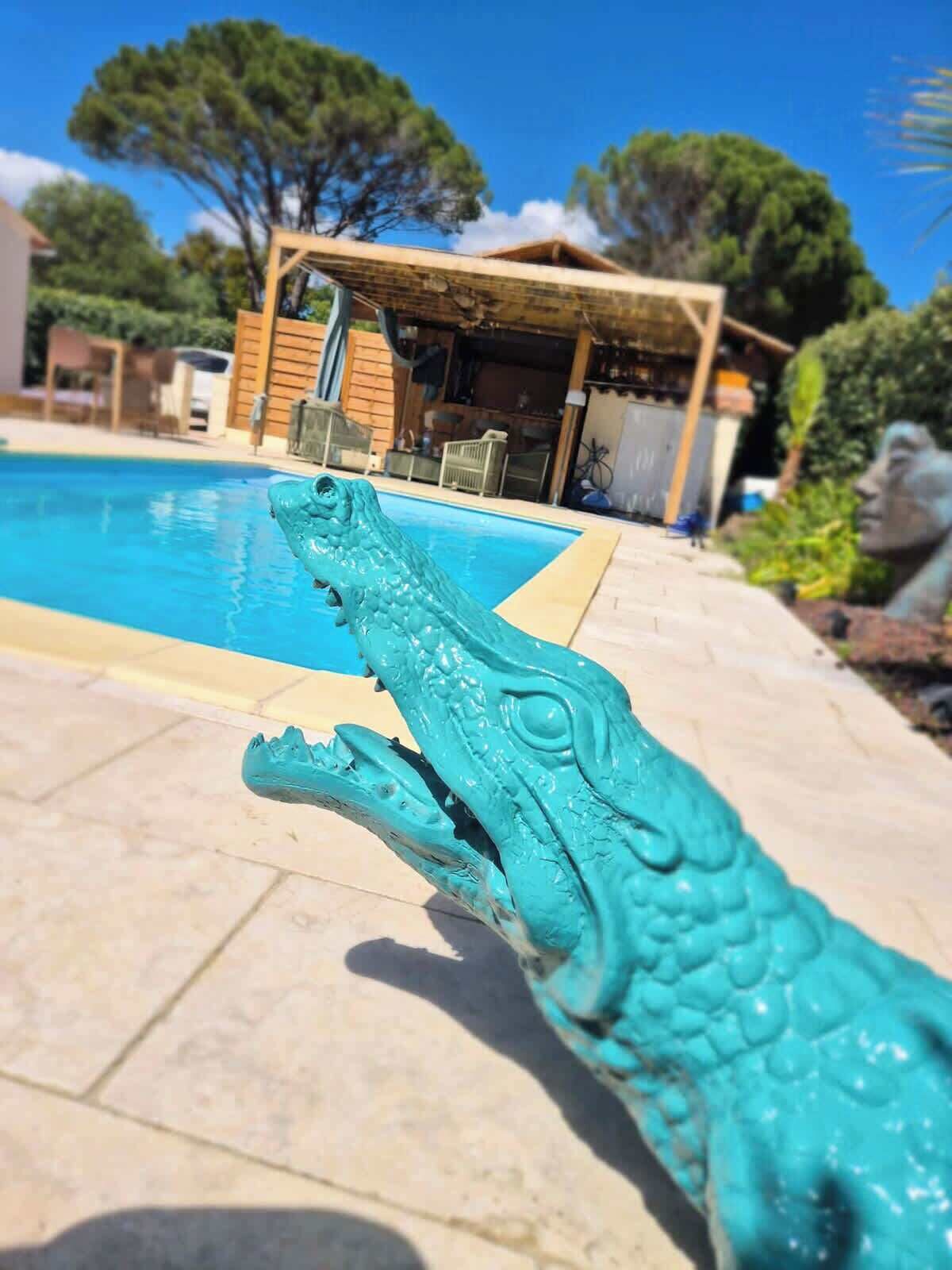 Una piscina con una escultura decorativa de cabeza de cocodrilo al frente.