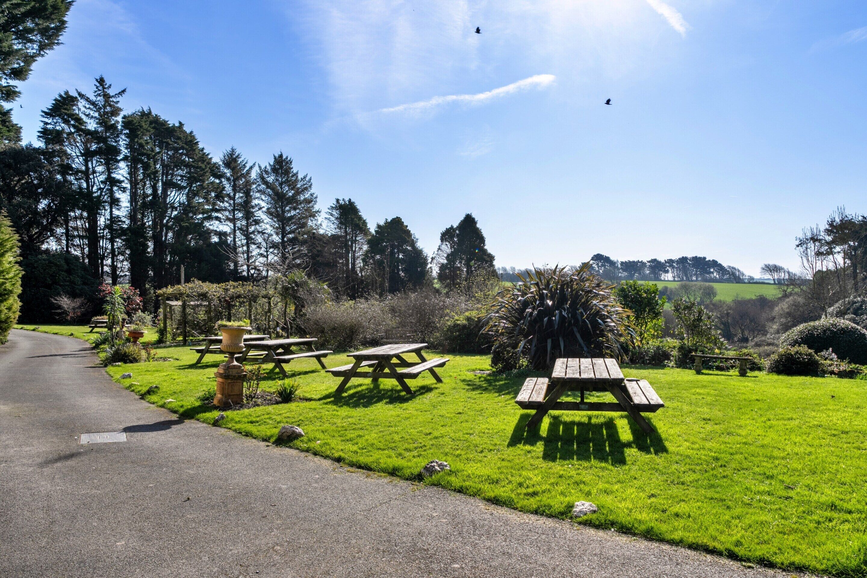 A picnic area with wooden tables and benches, surrounded by lush greenery and trees.