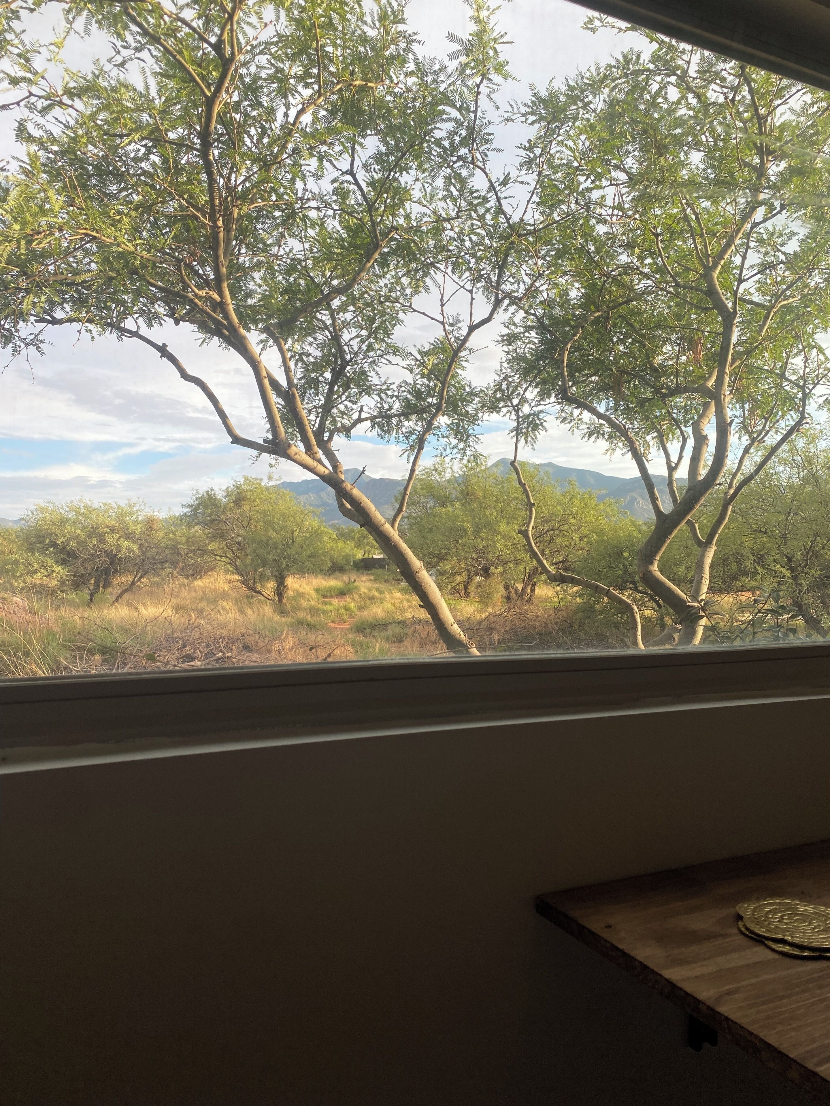 Vista desde una ventana a un paisaje natural con árboles y montañas lejanas.
