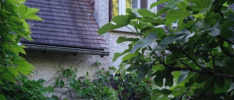 Une maison avec un toit en pente, une fenêtre visible et une porte. Un jardin avec des hortensias se trouve devant.