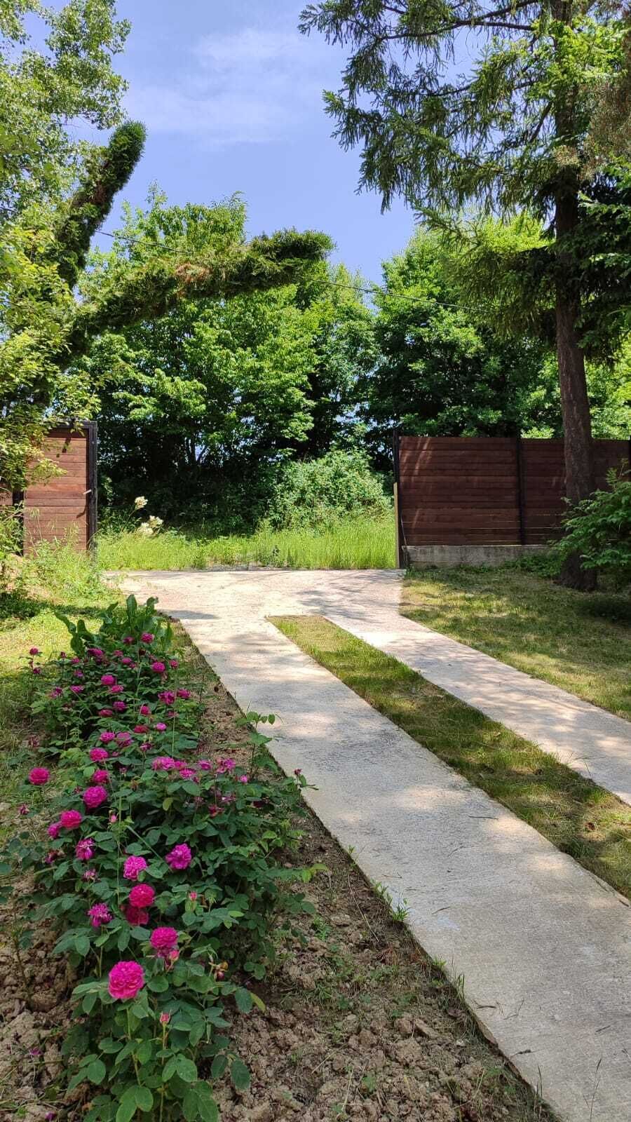 Caminho que serpenteia por um jardim com cerca de madeira e vegetação exuberante.