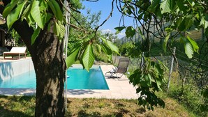 Ein Swimmingpool mit einem Baum im Vordergrund, umgeben von einem Zaun und Gartenmöbeln.